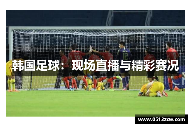 韩国足球：现场直播与精彩赛况