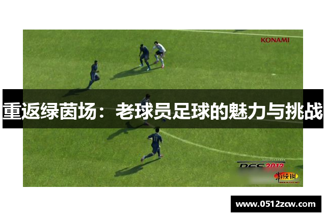 重返绿茵场：老球员足球的魅力与挑战