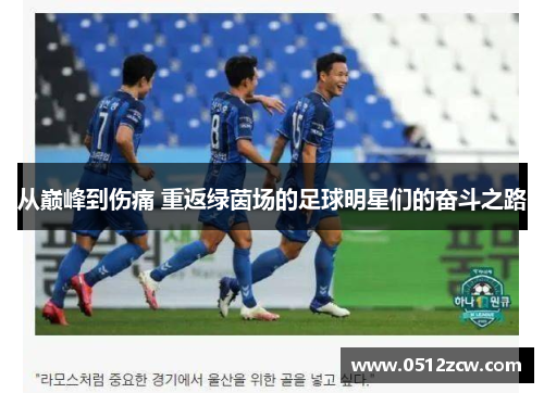 从巅峰到伤痛 重返绿茵场的足球明星们的奋斗之路