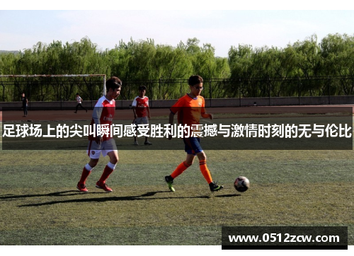 足球场上的尖叫瞬间感受胜利的震撼与激情时刻的无与伦比