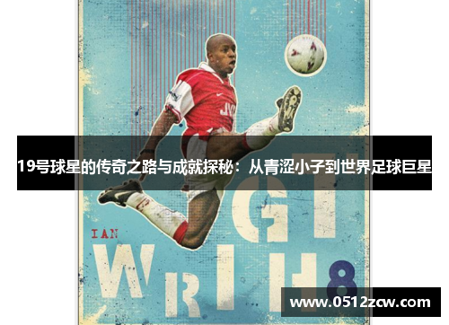 19号球星的传奇之路与成就探秘：从青涩小子到世界足球巨星