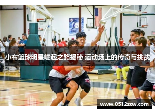 小布篮球明星崛起之路揭秘 运动场上的传奇与挑战
