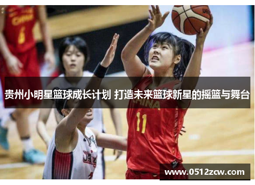 贵州小明星篮球成长计划 打造未来篮球新星的摇篮与舞台